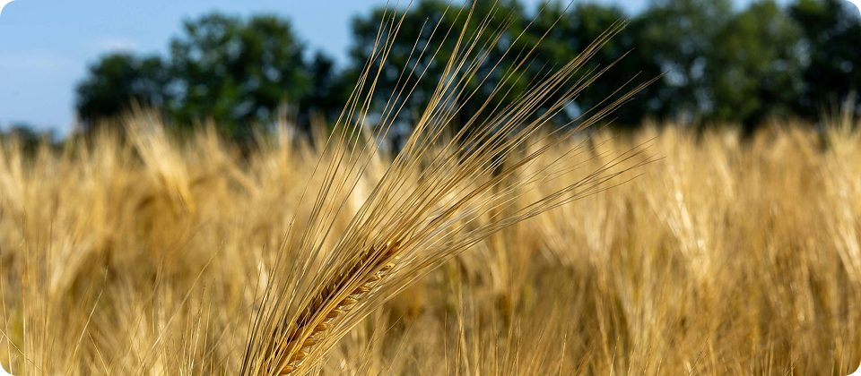 اتجاهات الأحداث – 1 2025