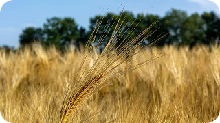 Events trends – 1 2025