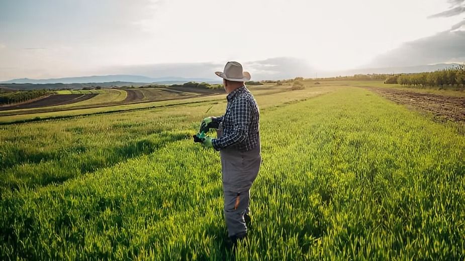 2040 Agricultural Forecast: Top 5 High-Demand Products in the Global South